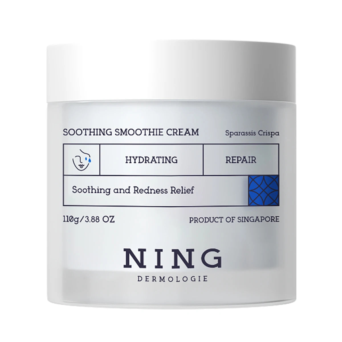 NING Dermologie Gel Cream 110g